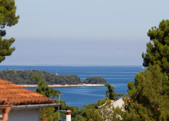 Studio Apartman Nega 1