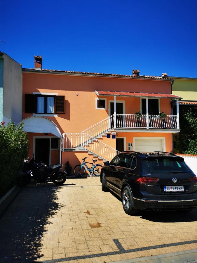Apartment Nega 1